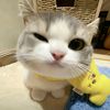 beebyl