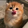 ngaaaaabbbb