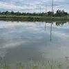 thanhkhanh1403