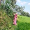 najminnahar428