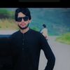 salmangull637