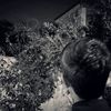 _royall8