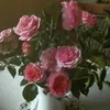geheim.gisi