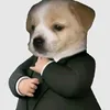 thatsudemanoi