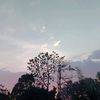 sepatakataa_