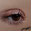 tebahussain933