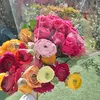 pietri__05