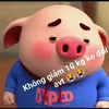 trang.0902