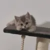 kmkmn12