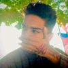 alifrahman4426