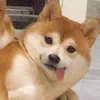 caigiiiicooooooooo
