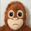 harry_ray5