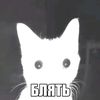murrz1lka_