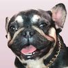 piggyworldwide