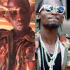 mowzey256