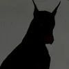 jmfoxy124