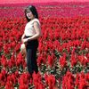 thipsara_garden
