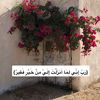 layanali5605