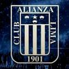 amor311705