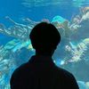 penjahatmu_310510