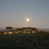 marinacasagrande66