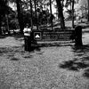 sarapee5630