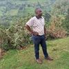 geofrey243