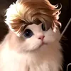 yahahaha54344