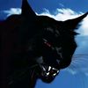 enigmatic_persona