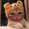 pog112233