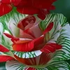 hadialamer548
