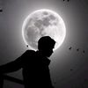 mdtanvirhossan7685