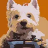 westie983