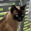 linafrance89
