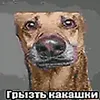 dyhq9k59fm5z