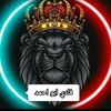 fridaydy37