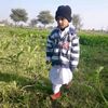 mujhid.m.m