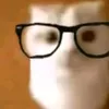 toidaudontuigupnga