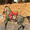 magichorse4