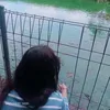 ayutamp