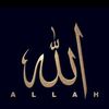 user6076012665629
