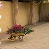 khalidalghamdi438