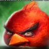 angrybird43130