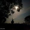 sk.sabbir751