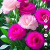 user37702311573086