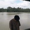 ridowp29