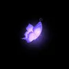 flowerg.url
