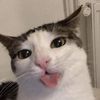 banmentrangcutee187206