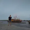 tintinhb