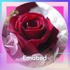 emabed178